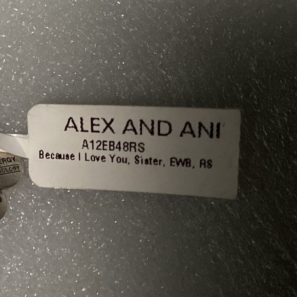 Alex And Ani Bangle Bracelet Because I Love You Sister EWB NWT - Picture 2 of 7